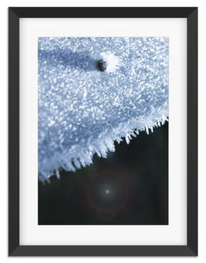 PictureFrame-YinYangFrost-2914-1080px.png